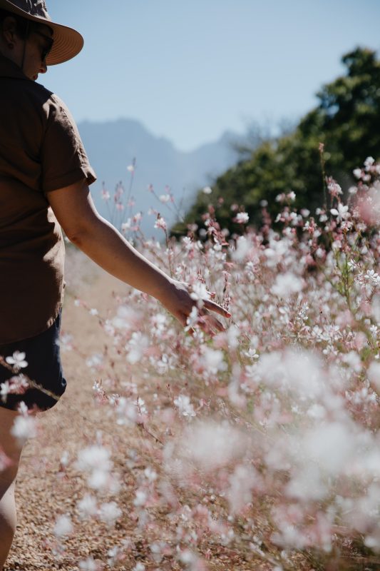 #camera Credit Michelle Becker