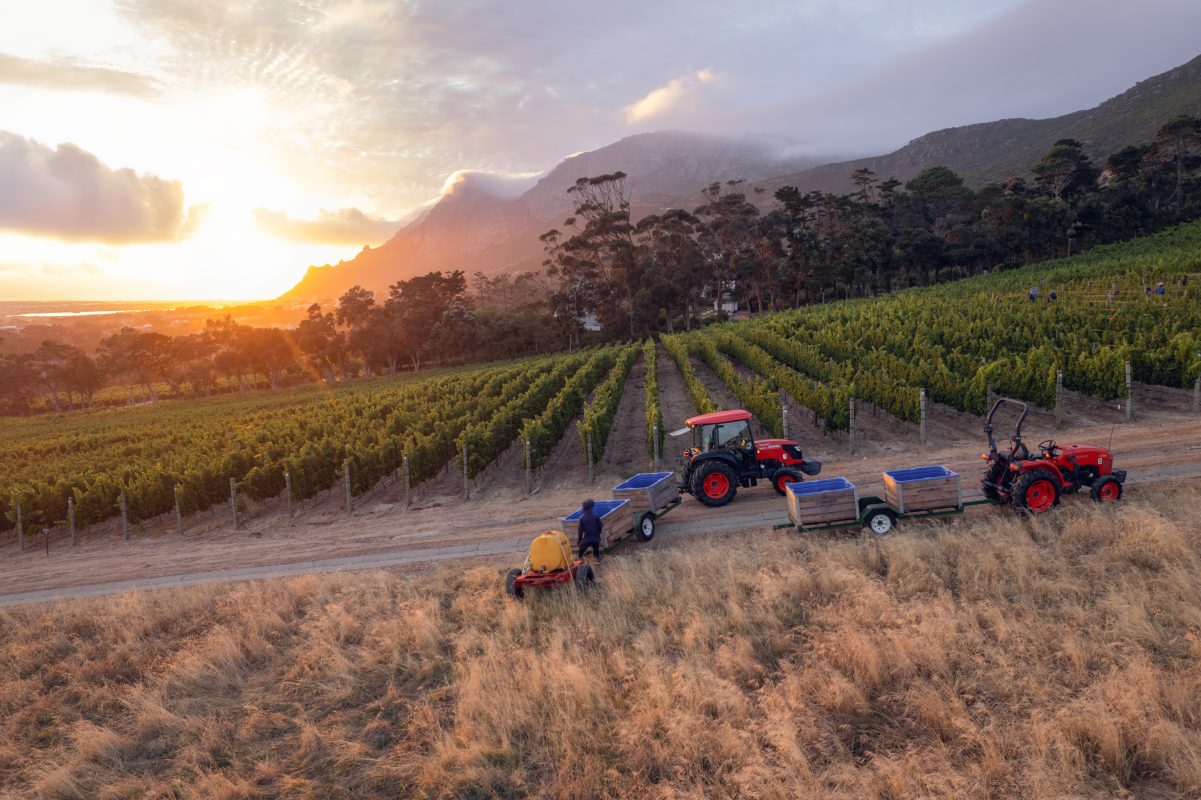 #250123_dji_0574 (1)