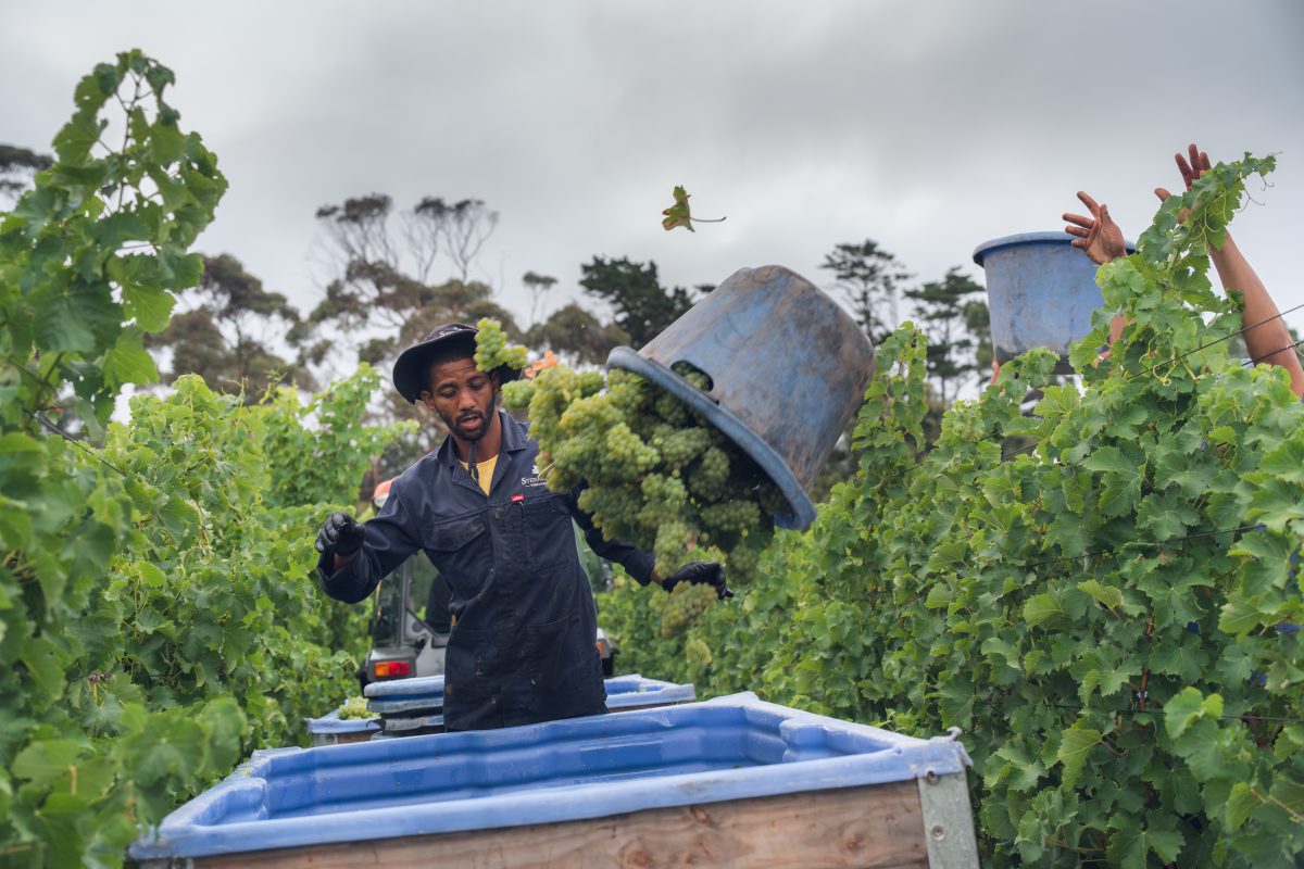 #250123_dsc01304 (1)