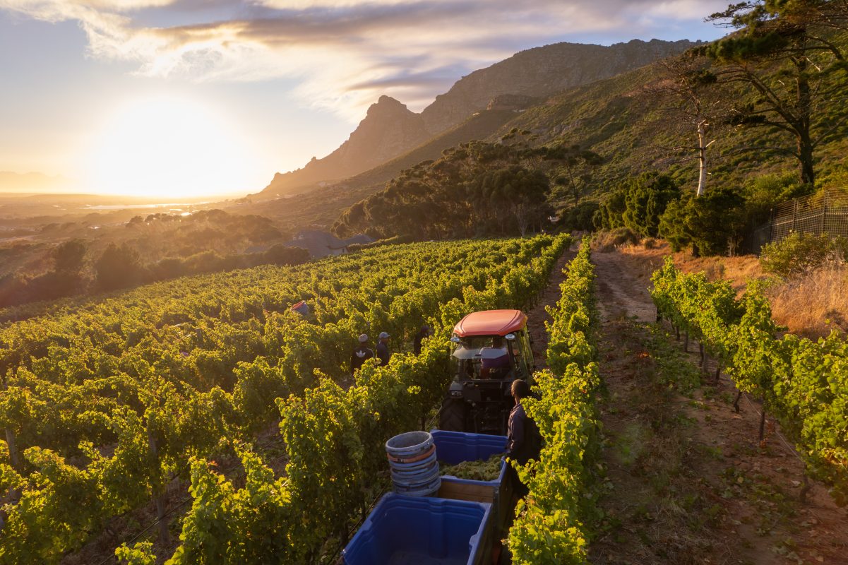 #250218_dji_0033 (1)