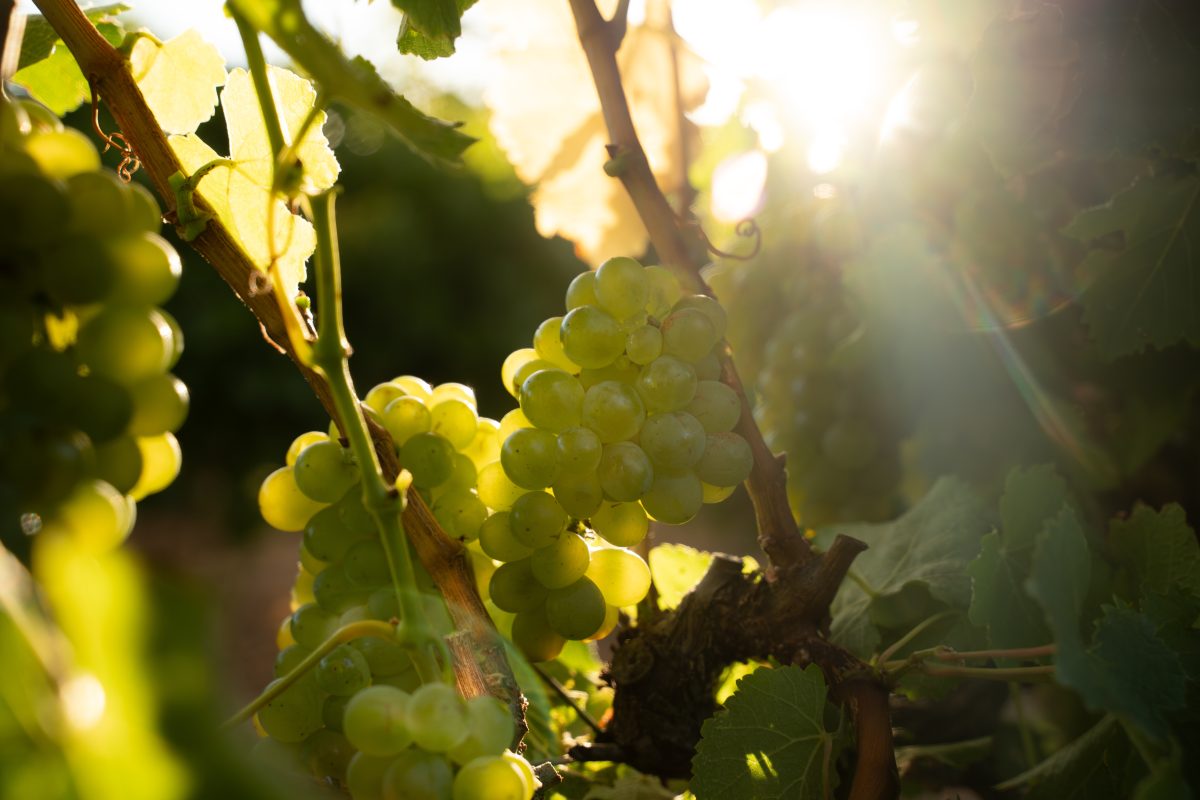 #250218_dsc00952 (1)