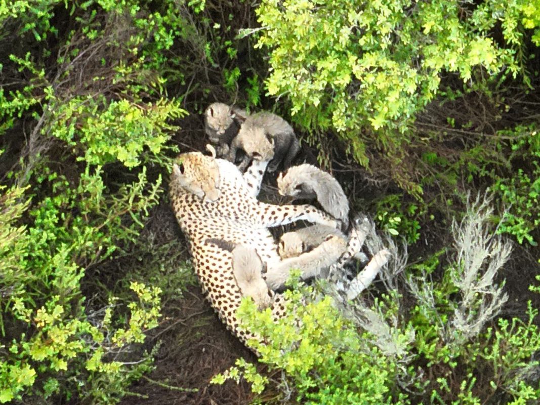 #6046523808090802420