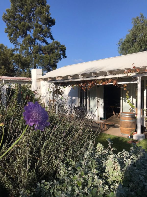Dine Differently South Africas Secret Culinary Spots   African Luxury