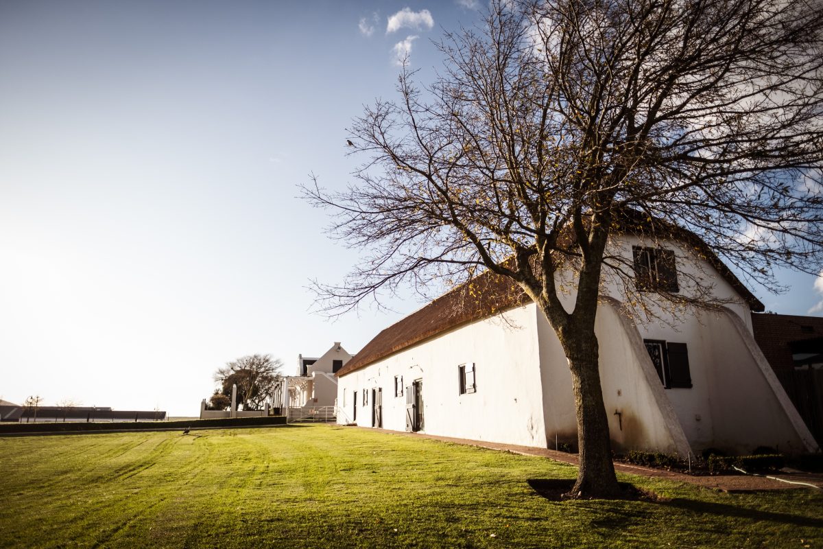 #groot Phesantekraal (1)