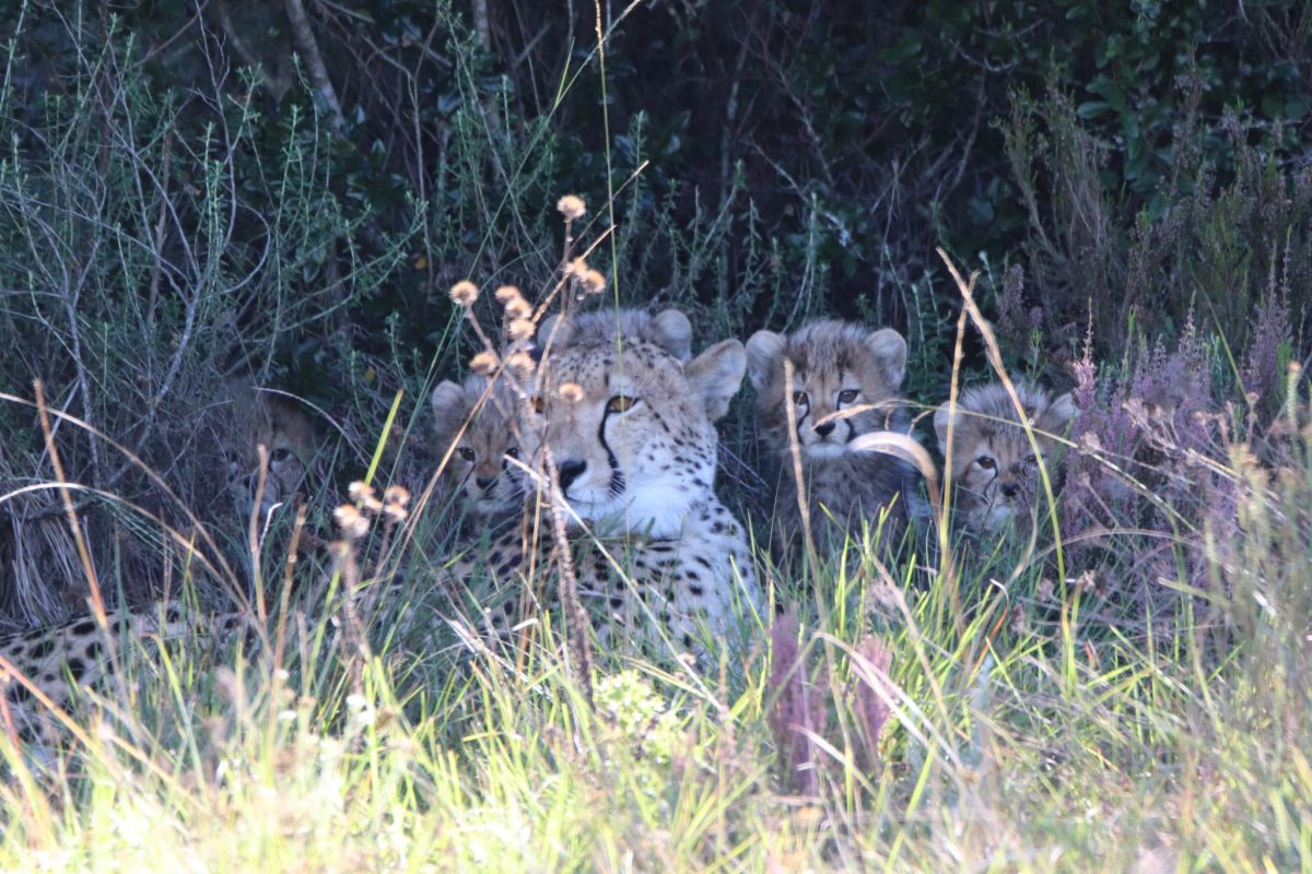 #500735211_698448486266955_180868016498058873_n