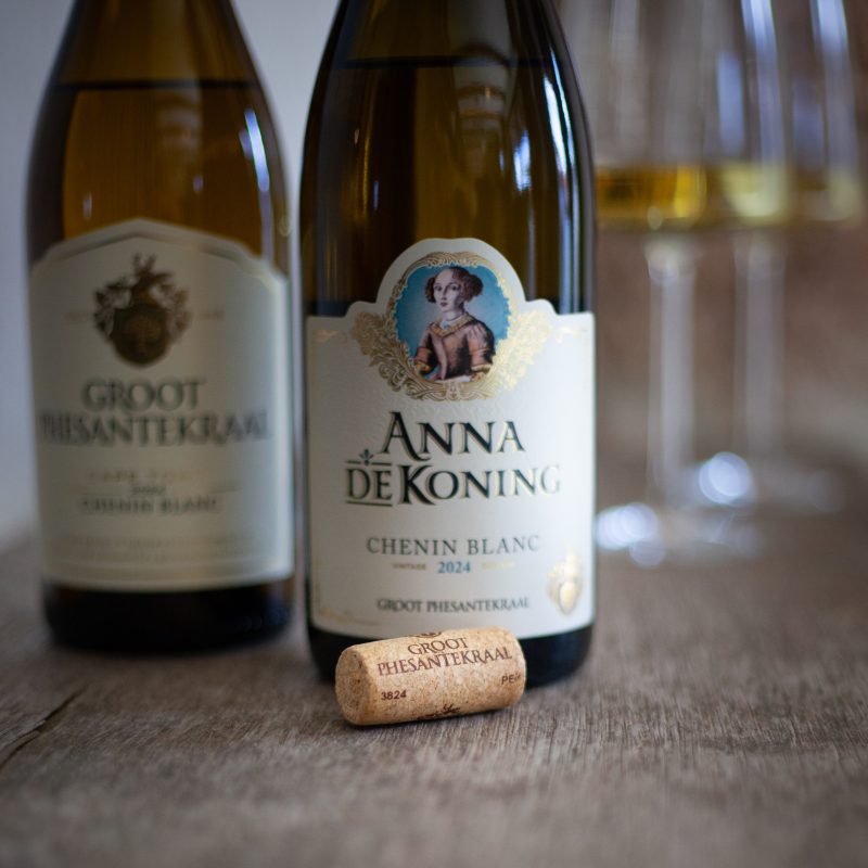 #groot Phesantekraal Chenin Blanc and Anna De Koning 2024_credit Hennie Loggerenberg (6)