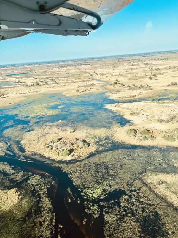 #mhondoro Overland Safaris 15