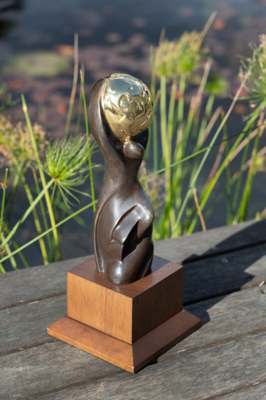 #hv_africa’s Leading Green Hotel Award at Eco Pool