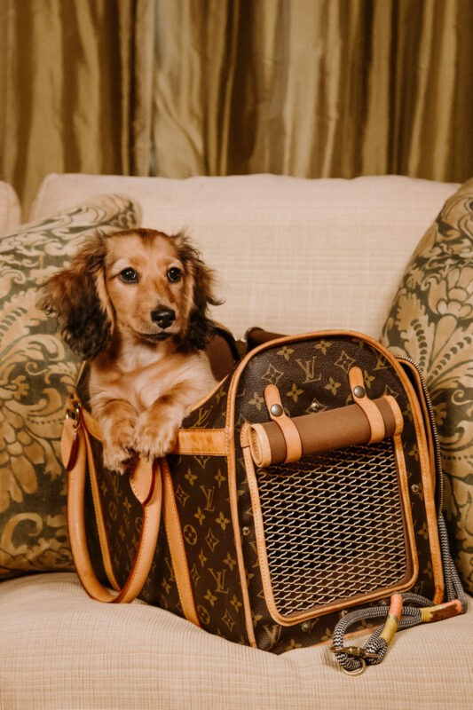 #strauss Luxury Bags Shoot � Kets Media-16.j Peg