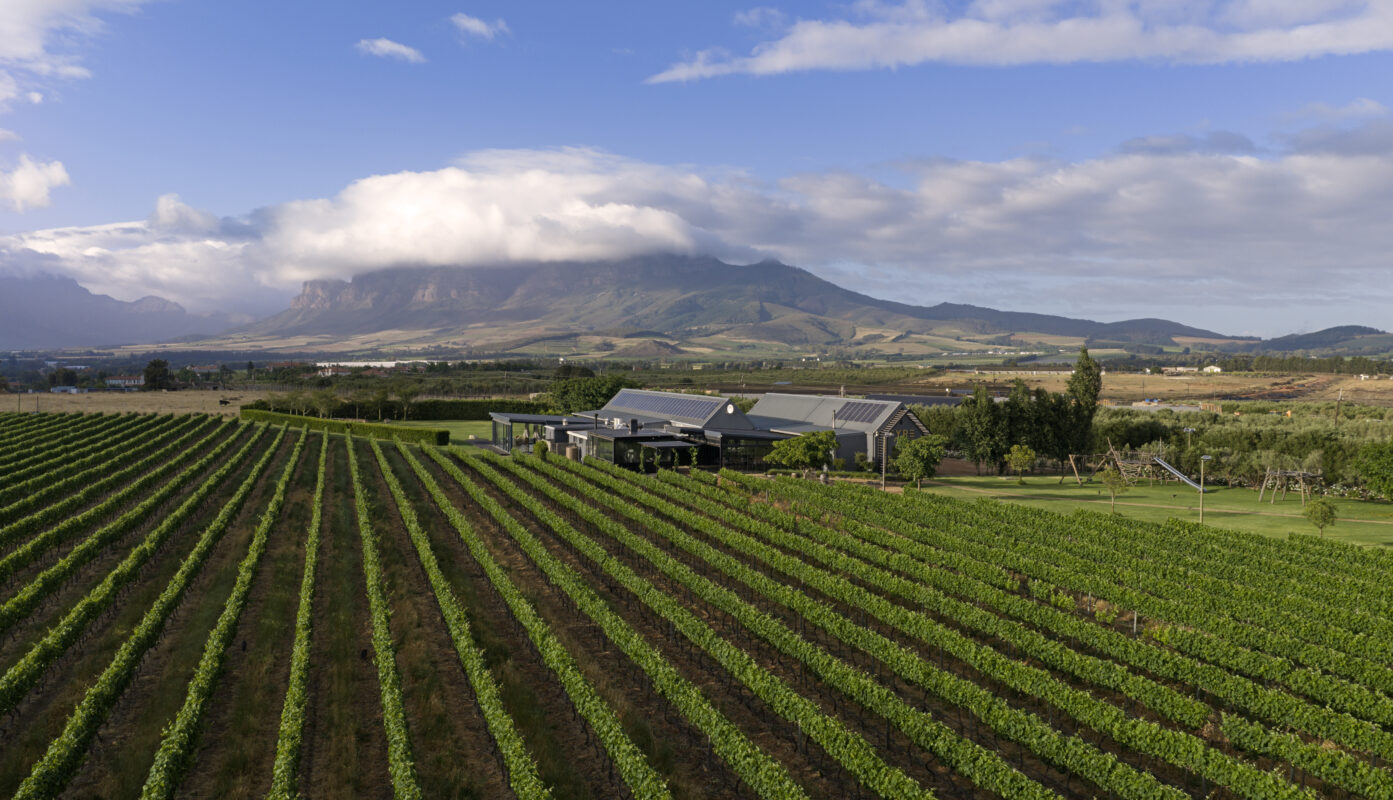 # a New Chapter in Paarl Luxury: Olijvenkraal Winelands Lodge