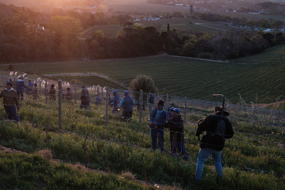 Groot Constantia South Africas National Treasure Leading Luxury Wine Experiences in Africa