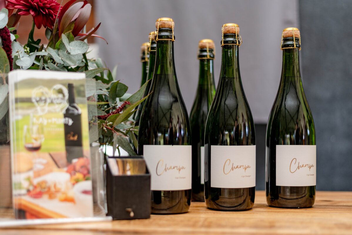 Plett Wine  Bubbly Festival 2026 Returns to Plettenberg Bay in Luxury Style   African Luxury