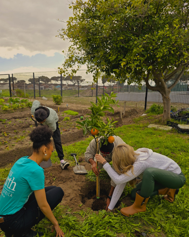 Marriott Internationals Sip for a Cause Campaign Funded 500 Fruit Trees and Environmental Education Through Earth Hour 2026 Initiatives   African Luxury