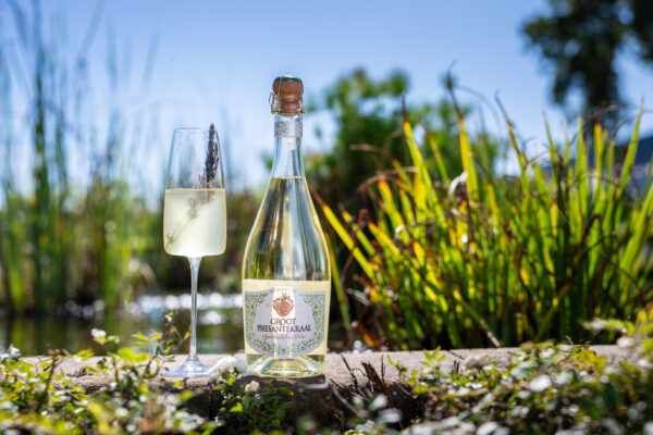 Something is Stirring at Groot Phesantekraal and It Starts with Wine   African Luxury