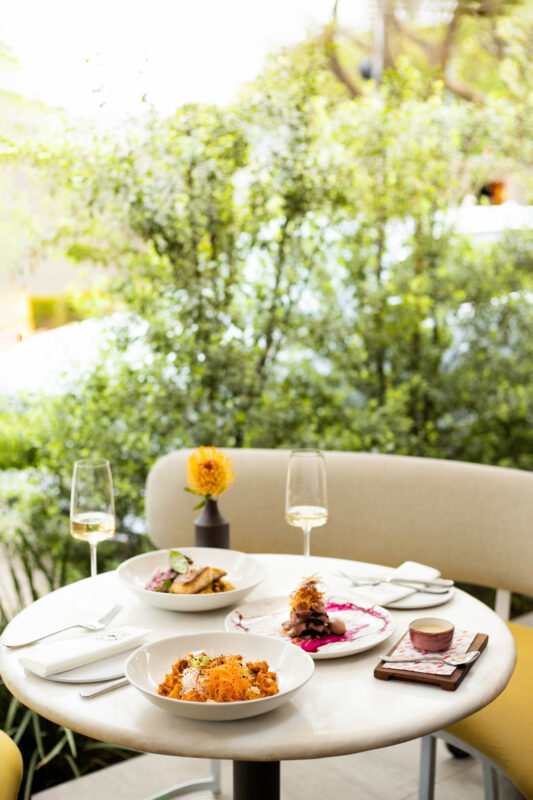 Summer in Review Inside South Africas Biggest Season for Dining   African Luxury