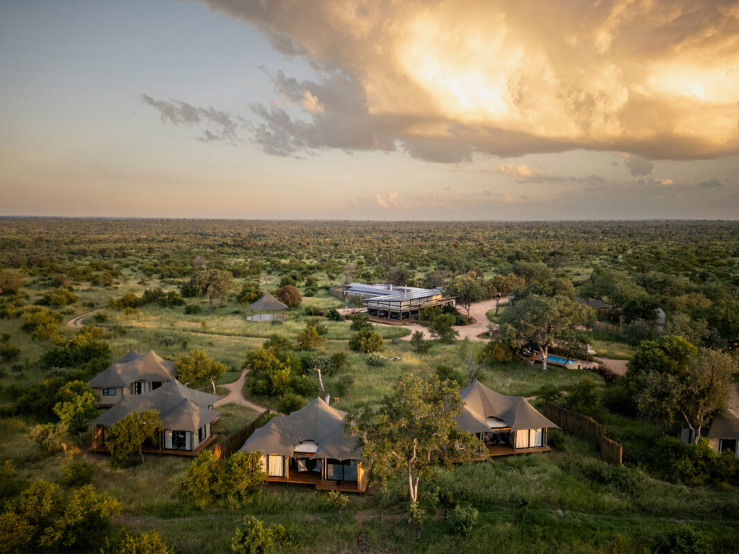 the Future of Sustainable Safari Tourism and Luxury Hospitality   African Luxury