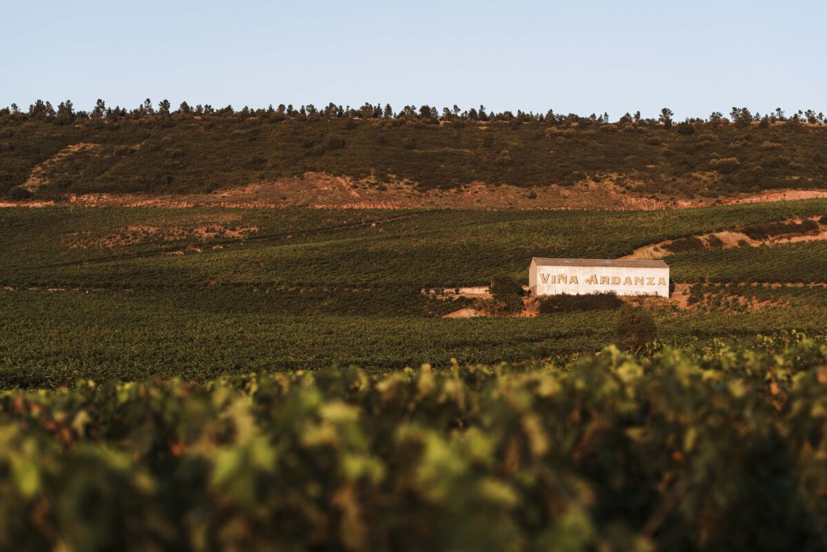 Luxury Wine Auction Strauss  Co Presents Italy Spain and Portugal Fine Wine Collection   African Luxury