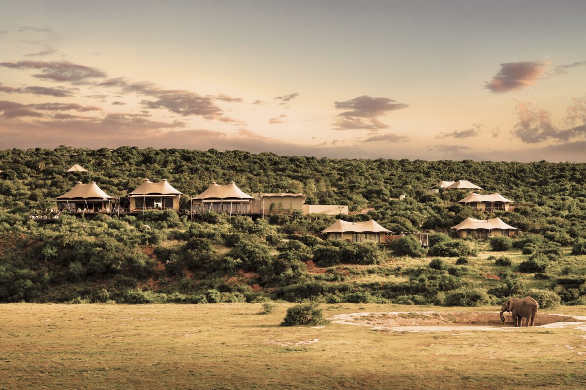 the Future of Sustainable Safari Tourism and Luxury Hospitality   African Luxury