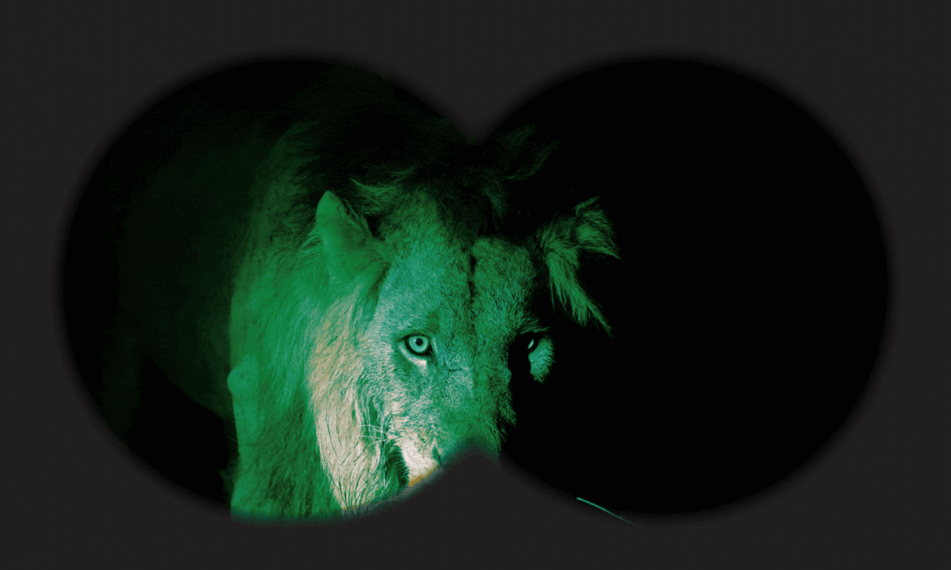 Tintswalo Collection Thermal Luxury Night Safari  Stargazing   African Luxury