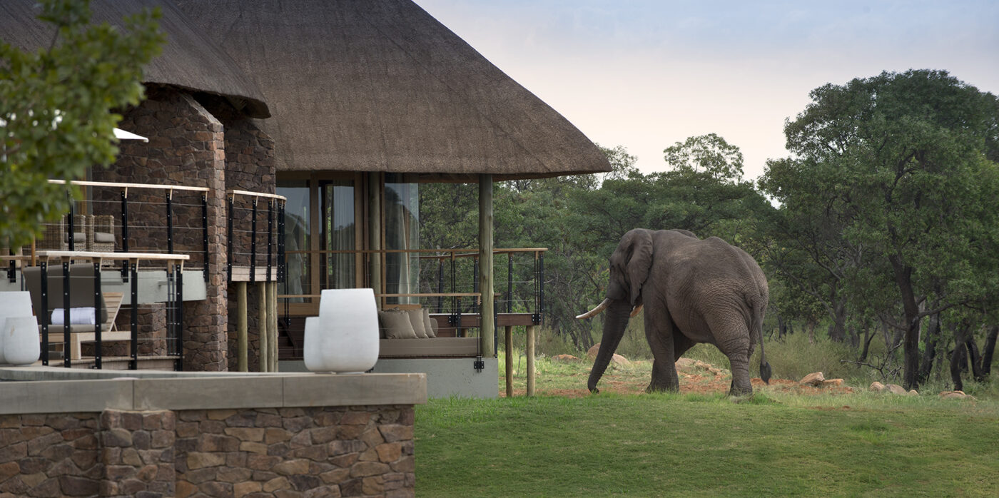 Mhondoro Named Worlds Best Safari and Bush Lodge Mhondoro Named Worlds Best Safari and Bush Lodge African Luxury