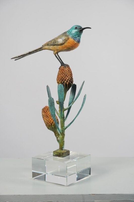 Open Studios Fish Hoek Clovelly 2026 Open Studios Fish Hoek Clovelly 2026 African Luxury