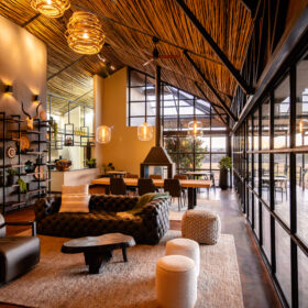 Mhondoro Named Worlds Best Safari and Bush Lodge   African Luxury