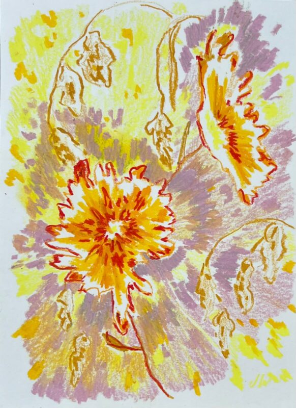 Open Studios Fish Hoek Clovelly 2026 Open Studios Fish Hoek Clovelly 2026 African Luxury